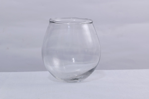 Shayona Glass